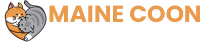Maine Coon Dreamery
